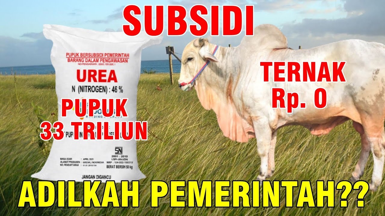 
                                 Pemerintah-Tidak-Subsidi-Peternak-Rakyat